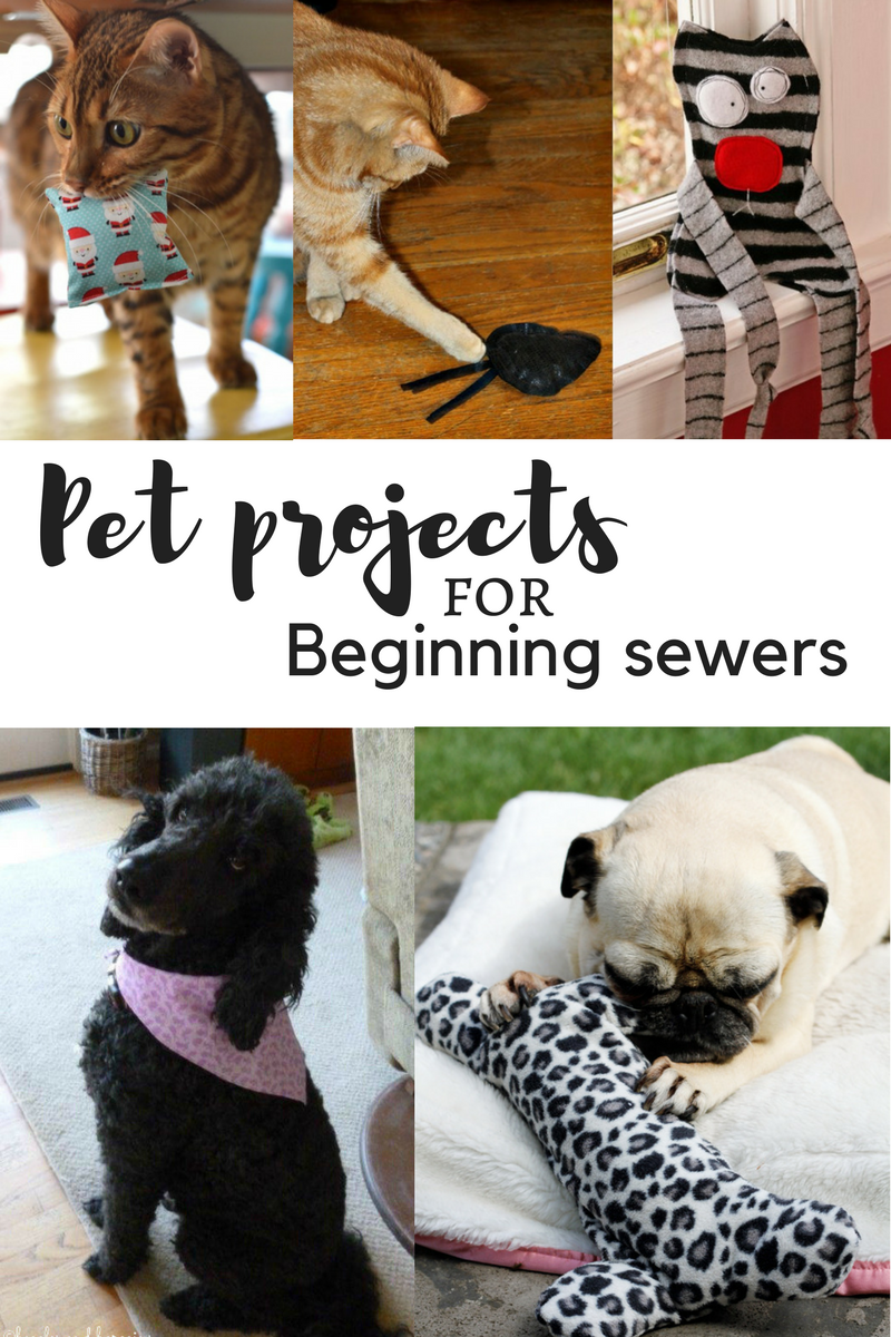 New to sewing? These projects are quick, easy - and sure to be a hit! Great ideas for donating to shelters & rescues!