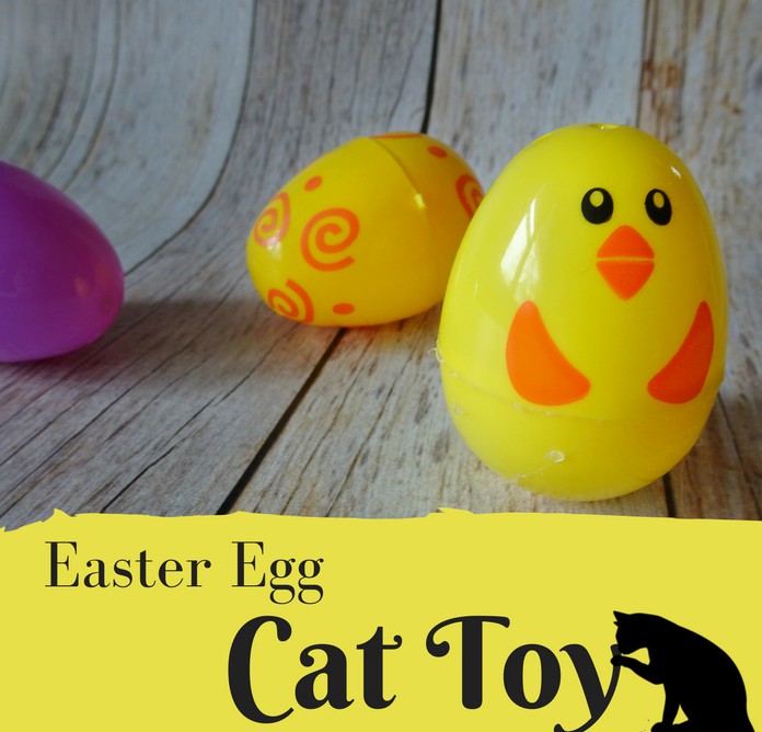 Fun DIY cat toy from plastic eggs. Easiest pet craft idea ever!